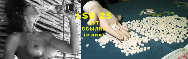 индика Майский