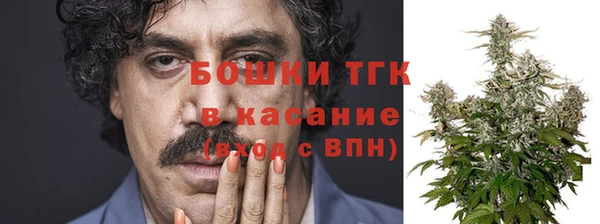 индика Майский