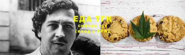 индика Майский