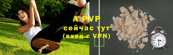 эйфоретик Магас
