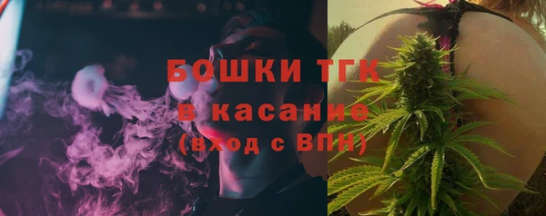 индика Майский