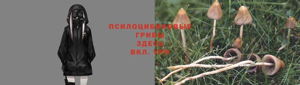 эйфоретик Магас