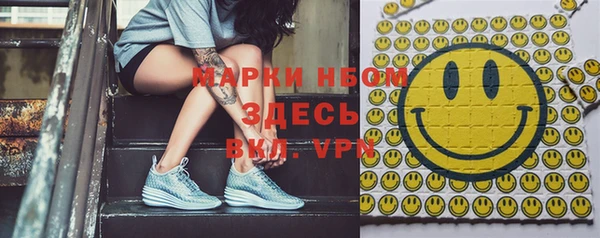 индика Майский