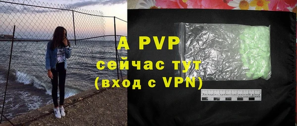 индика Майский