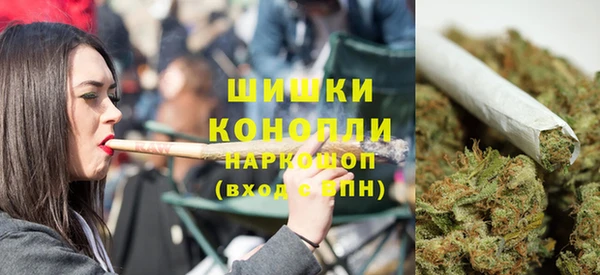 индика Майский