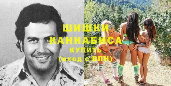 индика Майский