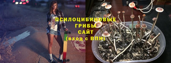 эйфоретик Магас