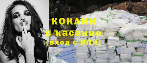 индика Майский