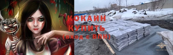 индика Майский